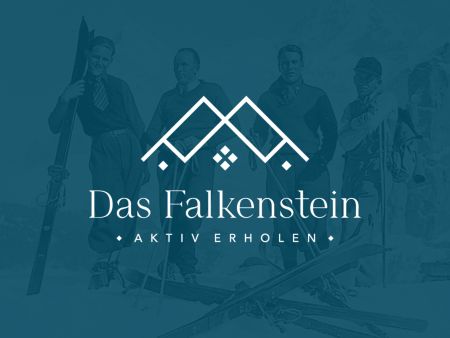 Das Falkenstein Logo mit dunkelblauen Hintergrund